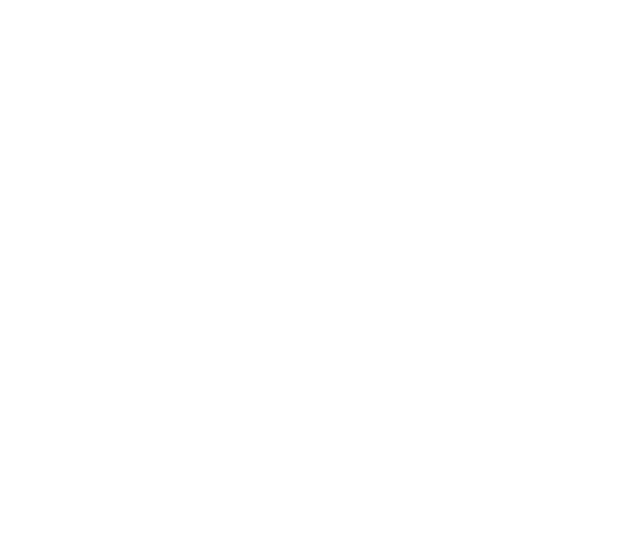 MR. Chef Döner logosu