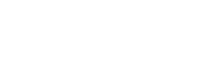 Netiş Depo logosu