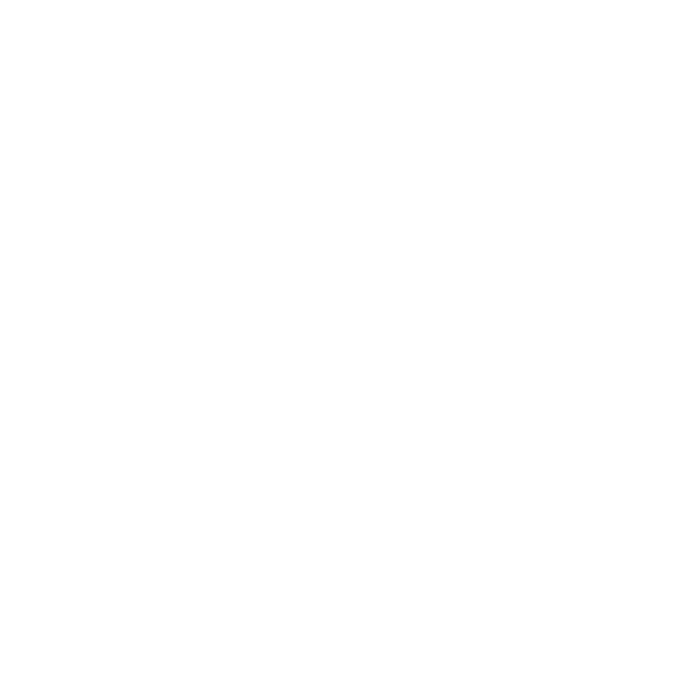 Zervera Butik logosu